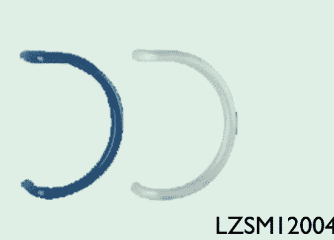 LZSM12004