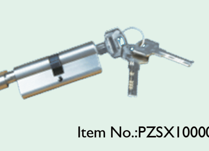 PZSX10000N