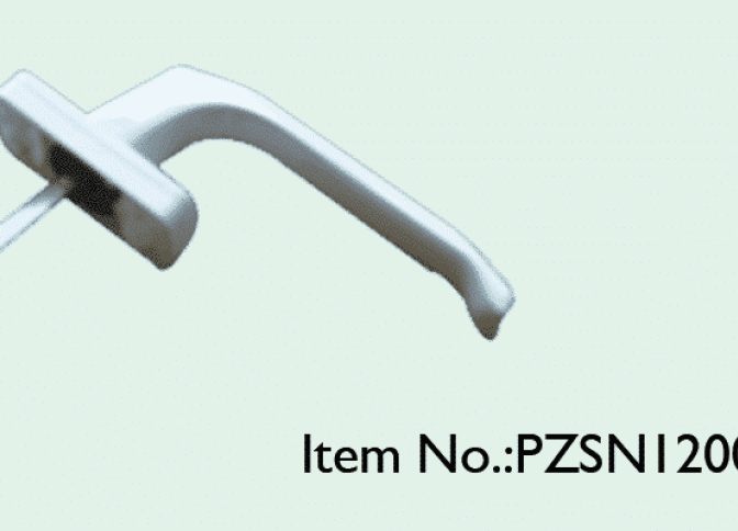 PZSN12007