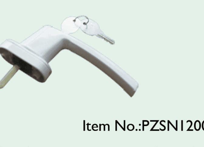 PZSN12008