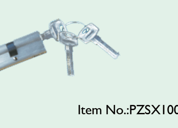 PZSX10000