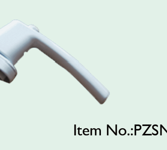 PZSN12009